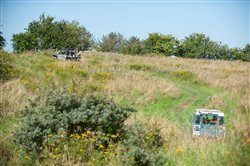 Dagens billede &copy; Copyright www.dlrk.dk